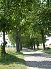 DSCN5596r.jpg DSCN5596r.jpg
